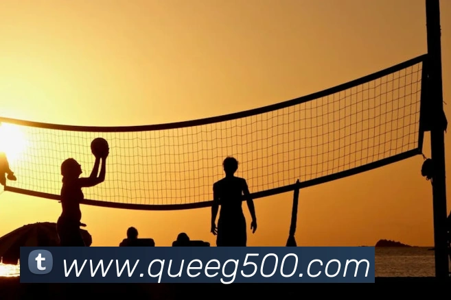 500彩票平台生态图